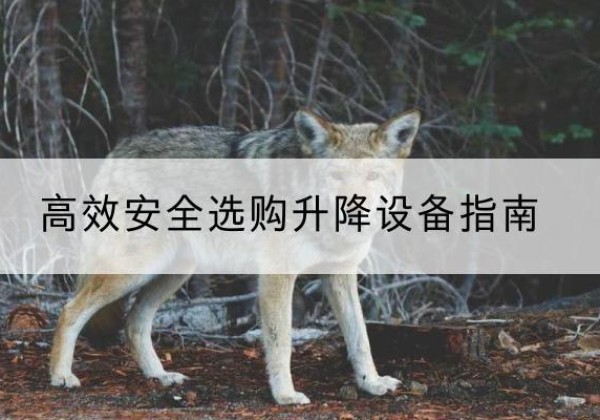 柴桑升降货梯厂家推荐-*安全选购升降设备指南