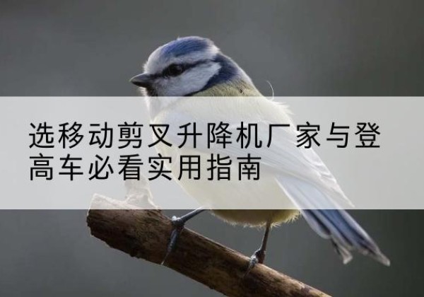 柴桑电动升降机厂家-选移动剪叉升降机厂家与登高车必看实用指南
