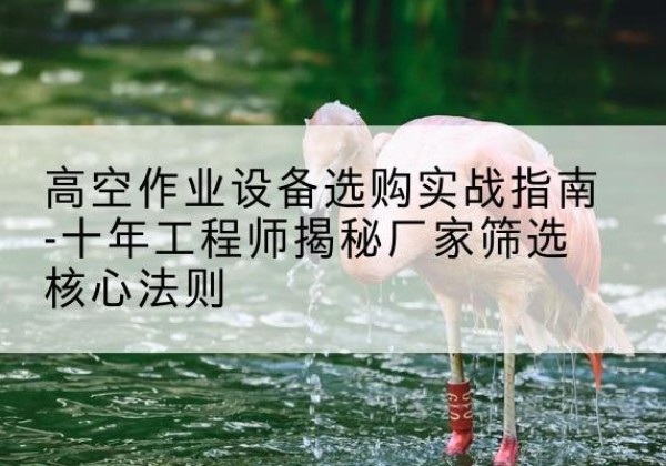 柴桑剪叉式升降机厂家-高空作业设备选购实战指南-十年工程师揭秘厂家筛选核心法则
